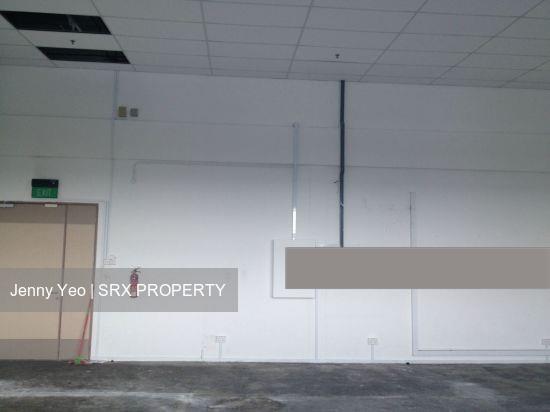 Focus One (D14), Factory #228943301